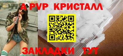 стаф Гатчина