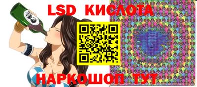 стаф Гатчина