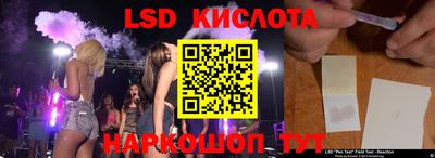 стаф Гатчина