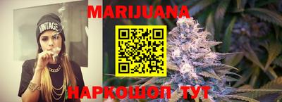 стаф Гатчина