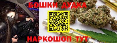стаф Гатчина