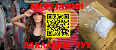 стаф Гатчина