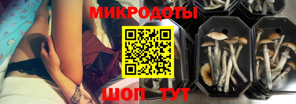 Галлюциногенные грибы прущие грибы  Вход с VPN  Псилоцибиновые грибы Cubensis  Можайск 